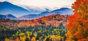 Fall in New England